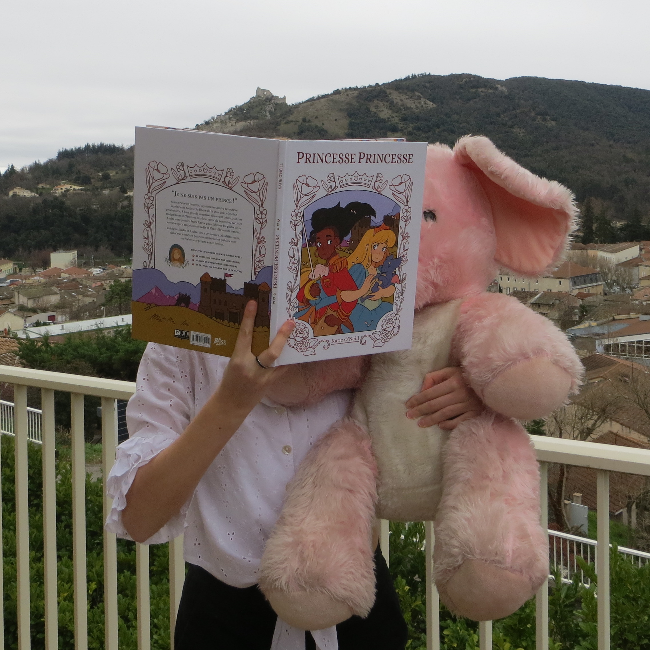 personne en chemise blanche lisant Princesse Princesse de Kay O’Neill devant un paysage avec un château fort, tenant une grosse peluche d'éléphant rose dans ses bras