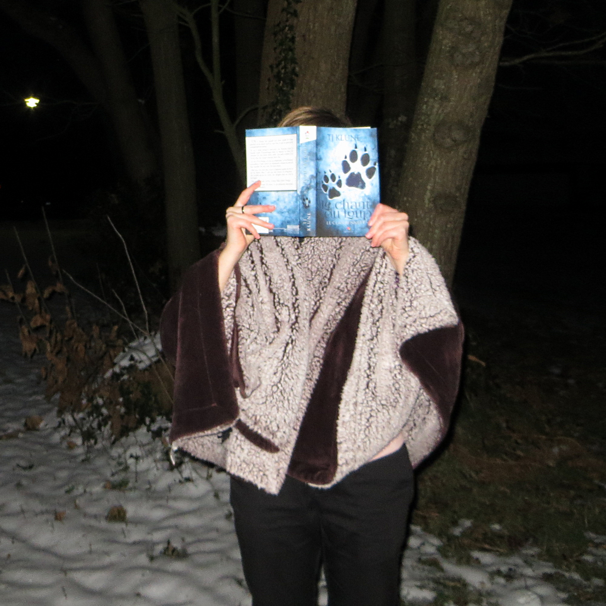 personne couverte d'un plaid lisant Le Chant du Loup de T.J. Klune de nuit, dans la neige