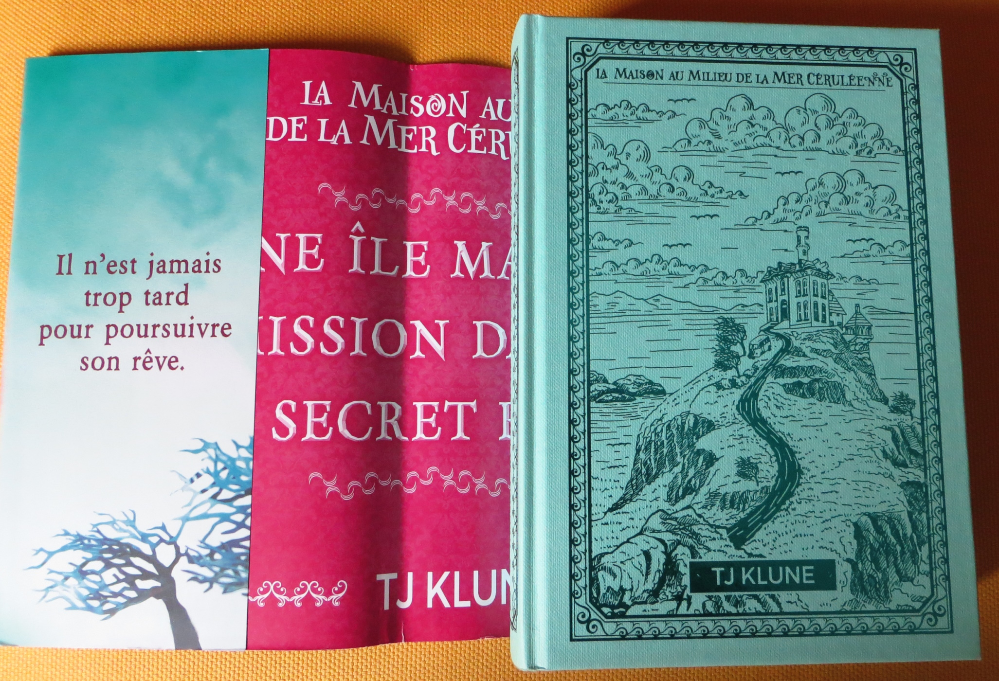 jaquette dépliée du roman, dévoilant une autre couverture à l'intérieur